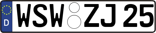WSW-ZJ25