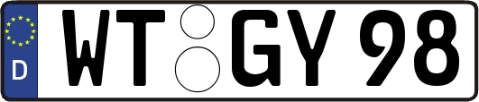 WT-GY98