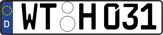 WT-H031
