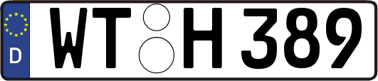 WT-H389