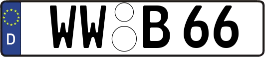 WW-B66