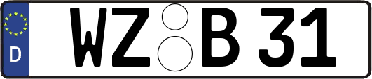 WZ-B31