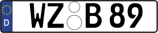 WZ-B89