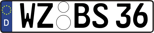 WZ-BS36