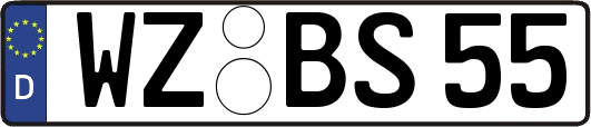 WZ-BS55