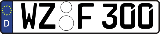 WZ-F300