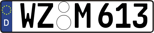 WZ-M613