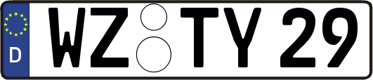 WZ-TY29