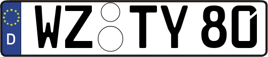 WZ-TY80