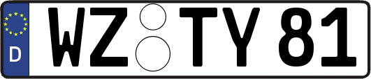 WZ-TY81