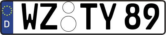 WZ-TY89