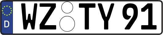 WZ-TY91