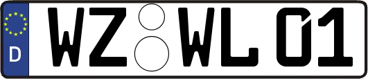 WZ-WL01