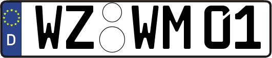 WZ-WM01