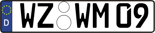 WZ-WM09