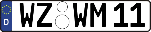 WZ-WM11