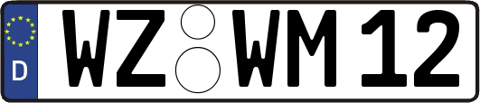 WZ-WM12