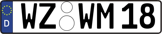WZ-WM18