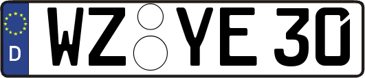 WZ-YE30