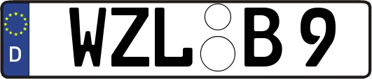 WZL-B9