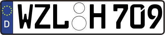 WZL-H709