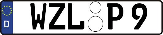 WZL-P9