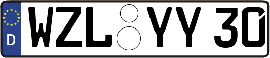 WZL-YY30