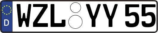 WZL-YY55