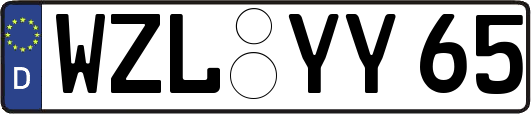 WZL-YY65