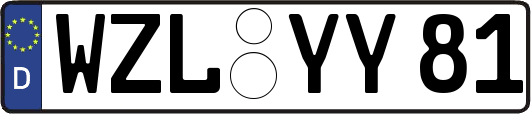 WZL-YY81