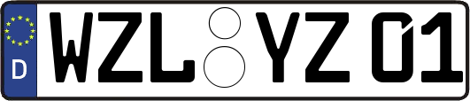 WZL-YZ01
