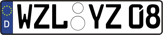 WZL-YZ08