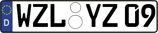 WZL-YZ09