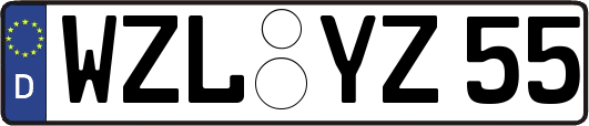 WZL-YZ55