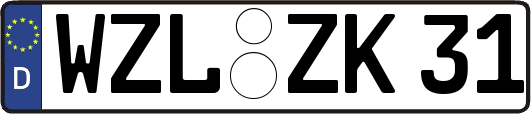 WZL-ZK31
