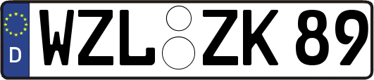 WZL-ZK89