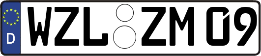 WZL-ZM09