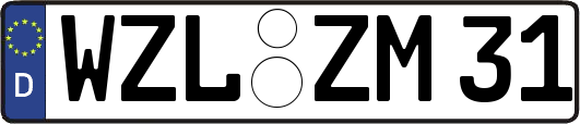 WZL-ZM31