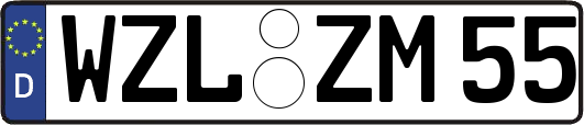 WZL-ZM55
