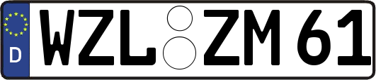 WZL-ZM61