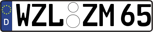 WZL-ZM65