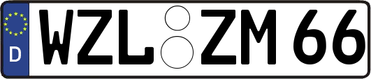 WZL-ZM66