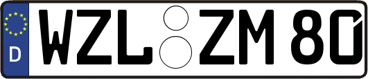 WZL-ZM80