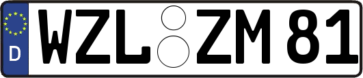 WZL-ZM81