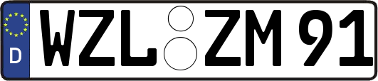 WZL-ZM91