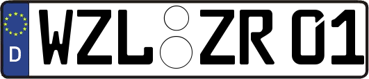 WZL-ZR01
