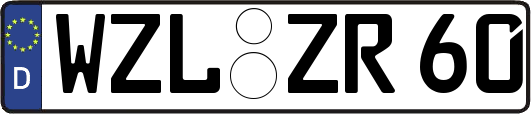 WZL-ZR60