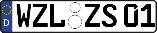 WZL-ZS01