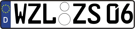 WZL-ZS06