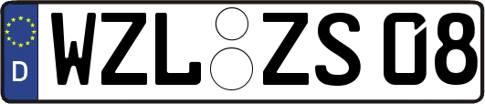 WZL-ZS08
